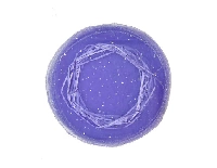 KINA KESESI İPLİ LİLA  