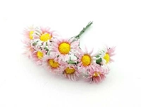 ÇİÇEK PAPATYA PEMBE 