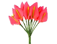 GALA ÇİÇEK KIRMIZI 