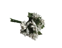 ÇİÇEK CİPSO GÖRÜNÜMÜNDE BEYAZ 