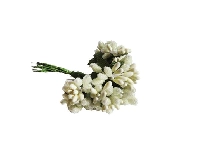 ÇİÇEK CİPSO GÖRÜNÜMÜNDE KREM 