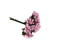 ÇİÇEK CİPSO GÖRÜNÜMÜNDE PEMBE 