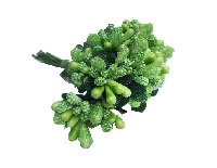 ÇİÇEK CİPSO GÖRÜNÜMÜNDE YEŞİL 