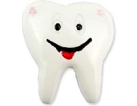 DİŞ POLYESTER PEMBE