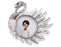 ÇERÇEVE KUĞULU SWAROVSKİ TAŞLI 