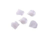 GÜL YAPRAĞI AÇILMAMIŞ BEYAZ 