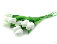 ÇİÇEK ISLAK LALE BEYAZ 