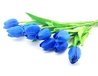 ÇİÇEK ISLAK LALE LACİVERT 