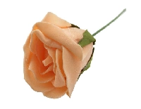 GÜL TEKLİ BATTAL BOY TURUNCU