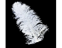 TÜY (KALEM VE ORGANİZASYON İÇİN) PK:1 KL:1000