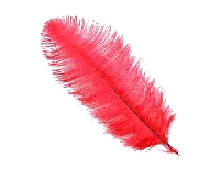 TÜY ( ORGANİZASYON İÇİN) 45*50CM KRMIZI  PK1 KL100