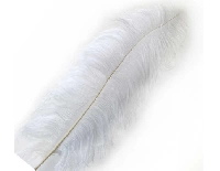 TÜY ( ORGANİZASYON İÇİN) 65*70CM BEYAZ PK:1 KL:100