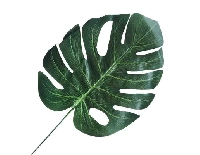 YAPRAK DEVETABANI MODELİ 23 CM PK:5 KL:200