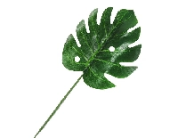 YAPRAK DEVE TABANI ARAJMAN 8x20 CM PK:5 KL:300