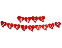 FLAMA KALPLİ EVADAN SİMLİ SENİ SEVİYORUM