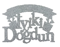 SÜS İYİKİ DOĞDUN EVADAN SİMLİ GÜMÜŞ 