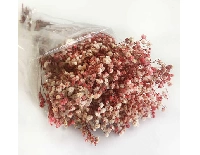 ÇİÇEK DOĞAL CİPSO KIRMIZI PK:50 GRAM KL:216